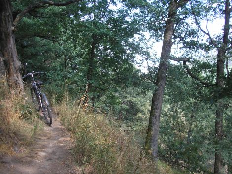 6-p8162682.jpg 6-p8162682.jpg