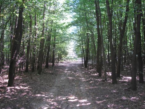 6-p8172725.jpg 6-p8172725.jpg