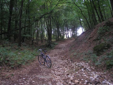 6-p8302758.jpg 6-p8302758.jpg