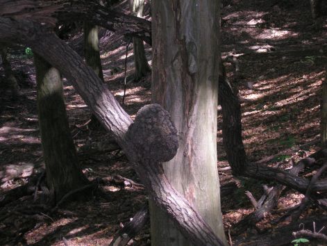 6-p9042800.jpg 6-p9042800.jpg