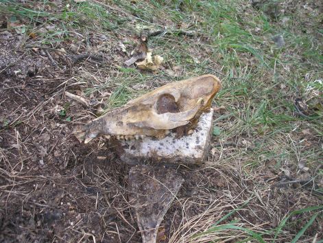 6-p9282981.jpg 6-p9282981.jpg