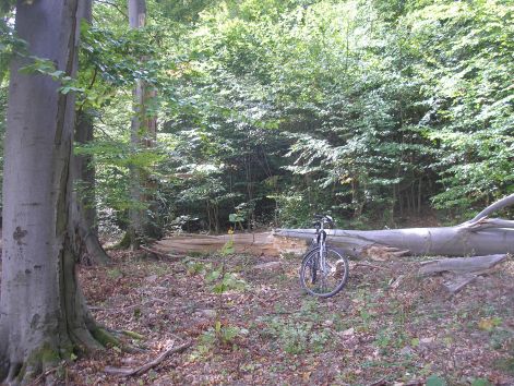 6-pa012997.jpg 6-pa012997.jpg