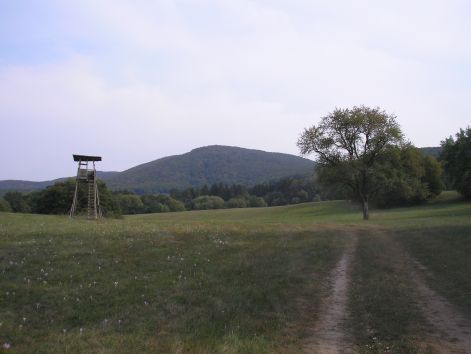 6._a_sikarosi_ret_1.jpg 6._a_sikarosi_ret_1.jpg