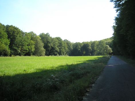 6.erdo-mezo.jpg 6.erdo-mezo.jpg