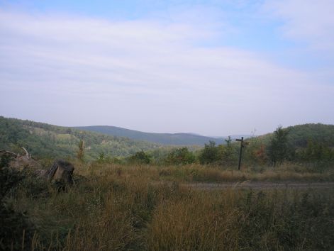 6.felerve.jpg 6.felerve.jpg