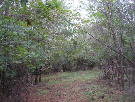 6_kevesen_jarnak_itt.jpg 6_kevesen_jarnak_itt.jpg