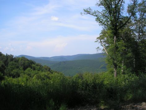 6_p6192237.jpg 6_p6192237.jpg