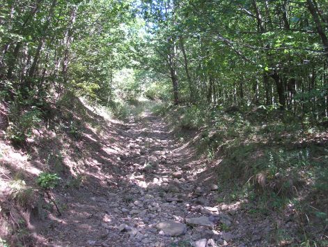 7-1-p8022622.jpg 7-1-p8022622.jpg