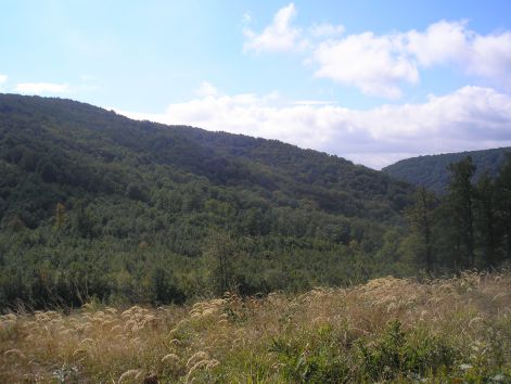 7-1-pilisi_reszlet.jpg 7-1-pilisi_reszlet.jpg