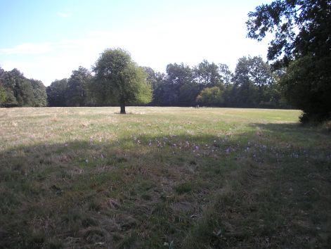 7-3-teknos-hat_2.jpg 7-3-teknos-hat_2.jpg