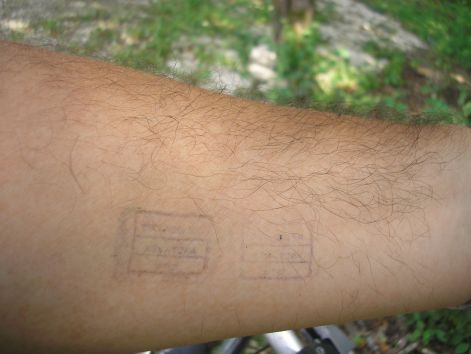 7-p6282285.jpg 7-p6282285.jpg