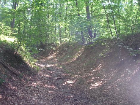 7-p7102451.jpg 7-p7102451.jpg