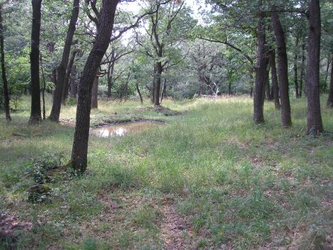 7-p7122479.jpg 7-p7122479.jpg