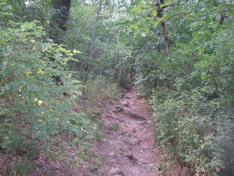 7-p7172505.jpg 7-p7172505.jpg