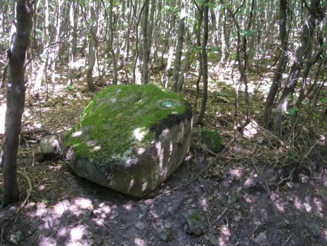 7-p8022620.jpg 7-p8022620.jpg