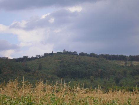 7-p8302761.jpg 7-p8302761.jpg