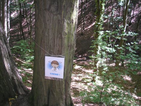 7-p9042805.jpg 7-p9042805.jpg