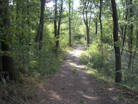 7-p9212928.jpg 7-p9212928.jpg