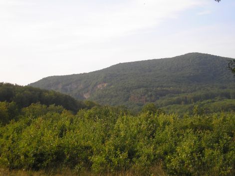 7-p9252977.jpg 7-p9252977.jpg