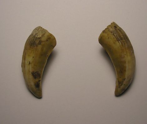 7-p9282991.jpg 7-p9282991.jpg