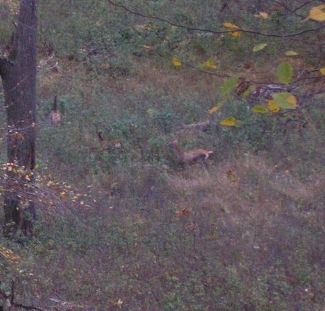 7-pa283154.jpg 7-pa283154.jpg