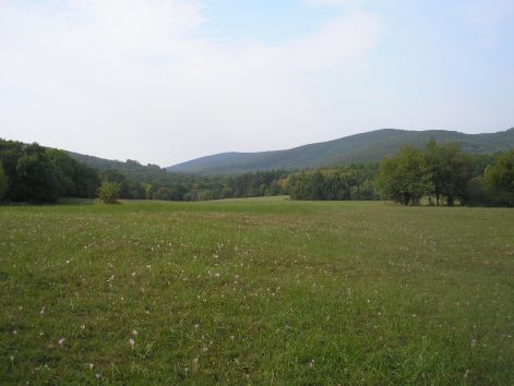 7._sikaros_2.jpg 7._sikaros_2.jpg