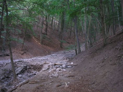 7.a_kanyar_elott.jpg 7.a_kanyar_elott.jpg