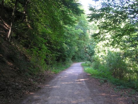 7.lazito_szakasz.jpg 7.lazito_szakasz.jpg