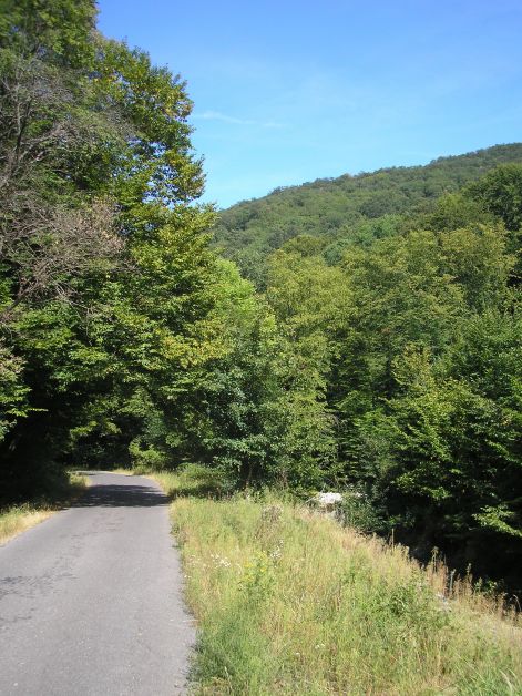 7.vegig_ilyen.jpg 7.vegig_ilyen.jpg