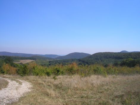 7_feluton_nagykopasz_fele.jpg 7_feluton_nagykopasz_fele.jpg