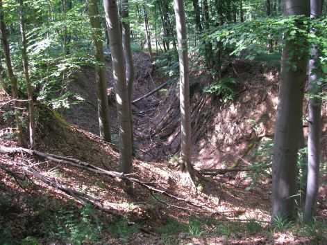 7_p6192236.jpg 7_p6192236.jpg