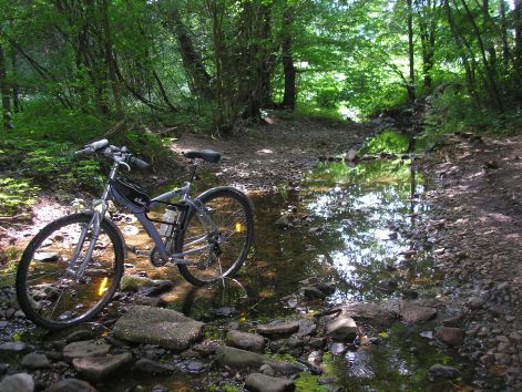 8-p6282286.jpg 8-p6282286.jpg