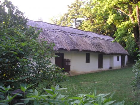 8-p6292328.jpg 8-p6292328.jpg