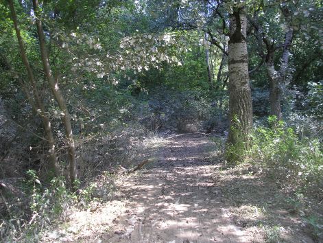 8-p7012351.jpg 8-p7012351.jpg