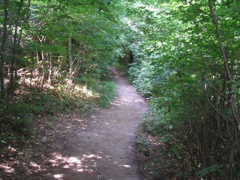 8-p7032378.jpg 8-p7032378.jpg