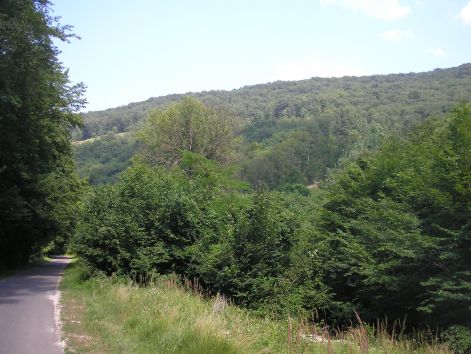 8-p7102452.jpg 8-p7102452.jpg