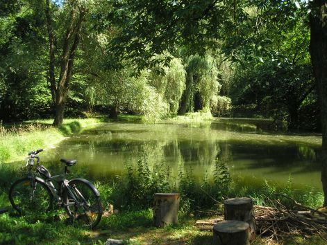 8-p7222559.jpg 8-p7222559.jpg