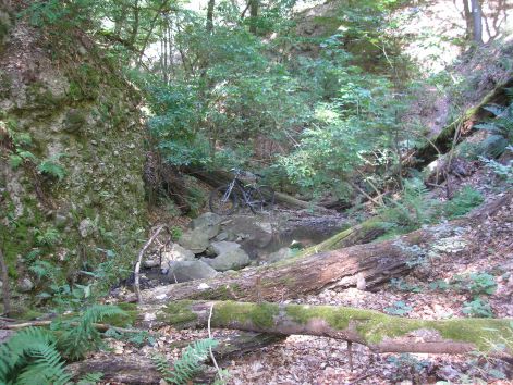 8-p8022627.jpg 8-p8022627.jpg