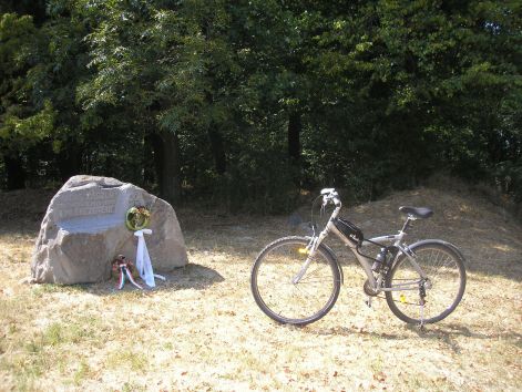 8-p8162687.jpg 8-p8162687.jpg