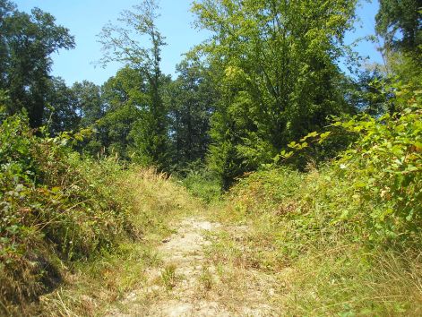 8-p8172730.jpg 8-p8172730.jpg