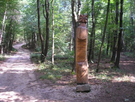 8-p8302762.jpg 8-p8302762.jpg