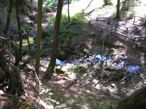 8-p9042807.jpg 8-p9042807.jpg