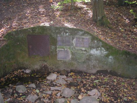 8-pa013011.jpg 8-pa013011.jpg