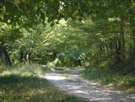 8._a_piros_haromszogon.jpg 8._a_piros_haromszogon.jpg