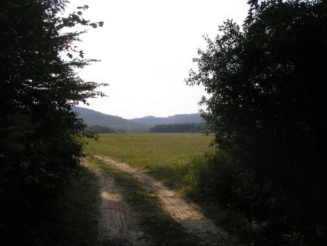 8._sikaros_3.jpg 8._sikaros_3.jpg