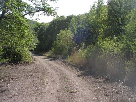 8._szinte_vegig_ilyen.jpg 8._szinte_vegig_ilyen.jpg