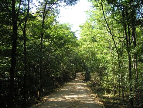 8.kiepitett_ut.jpg 8.kiepitett_ut.jpg