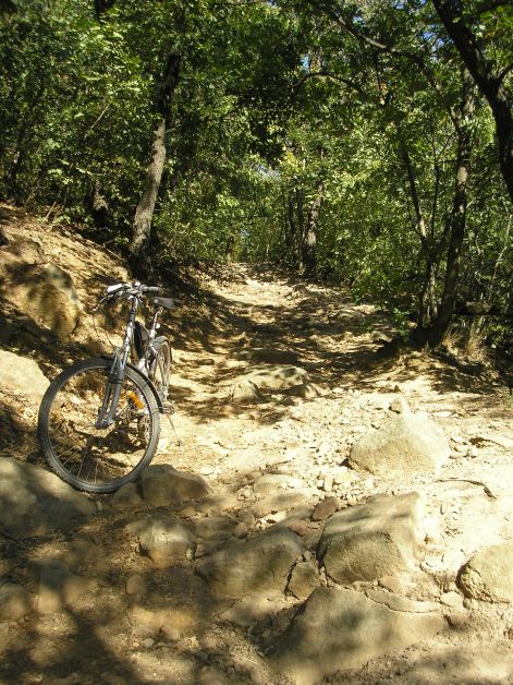 8.solymari_volgy_vizmosas.jpg 8.solymari_volgy_vizmosas.jpg