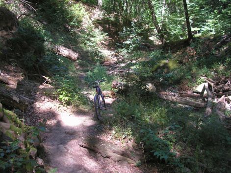 9-1-p9042809.jpg 9-1-p9042809.jpg