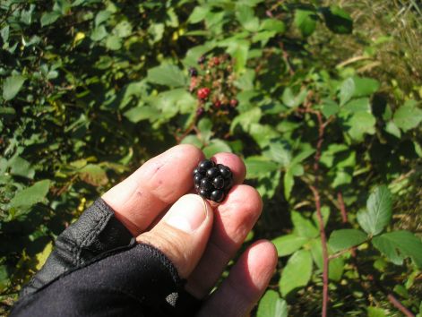 9-jo_edes.jpg 9-jo_edes.jpg